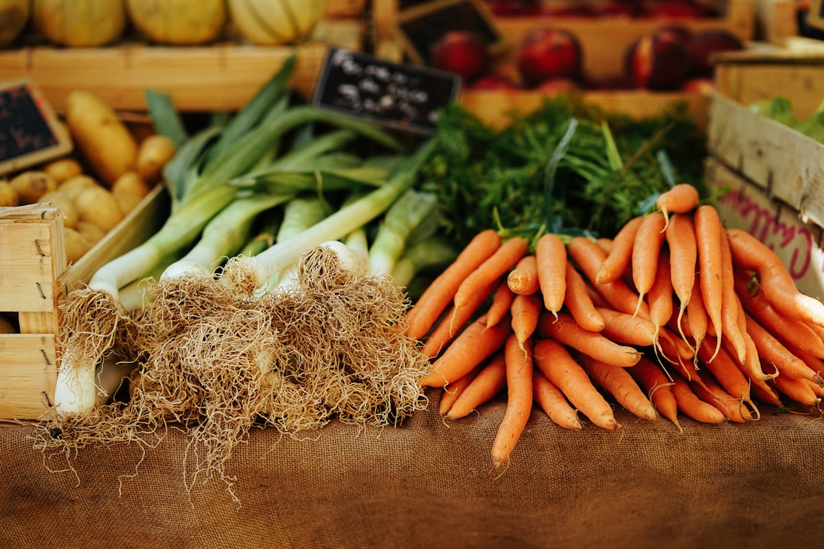 Fiber and digestive health